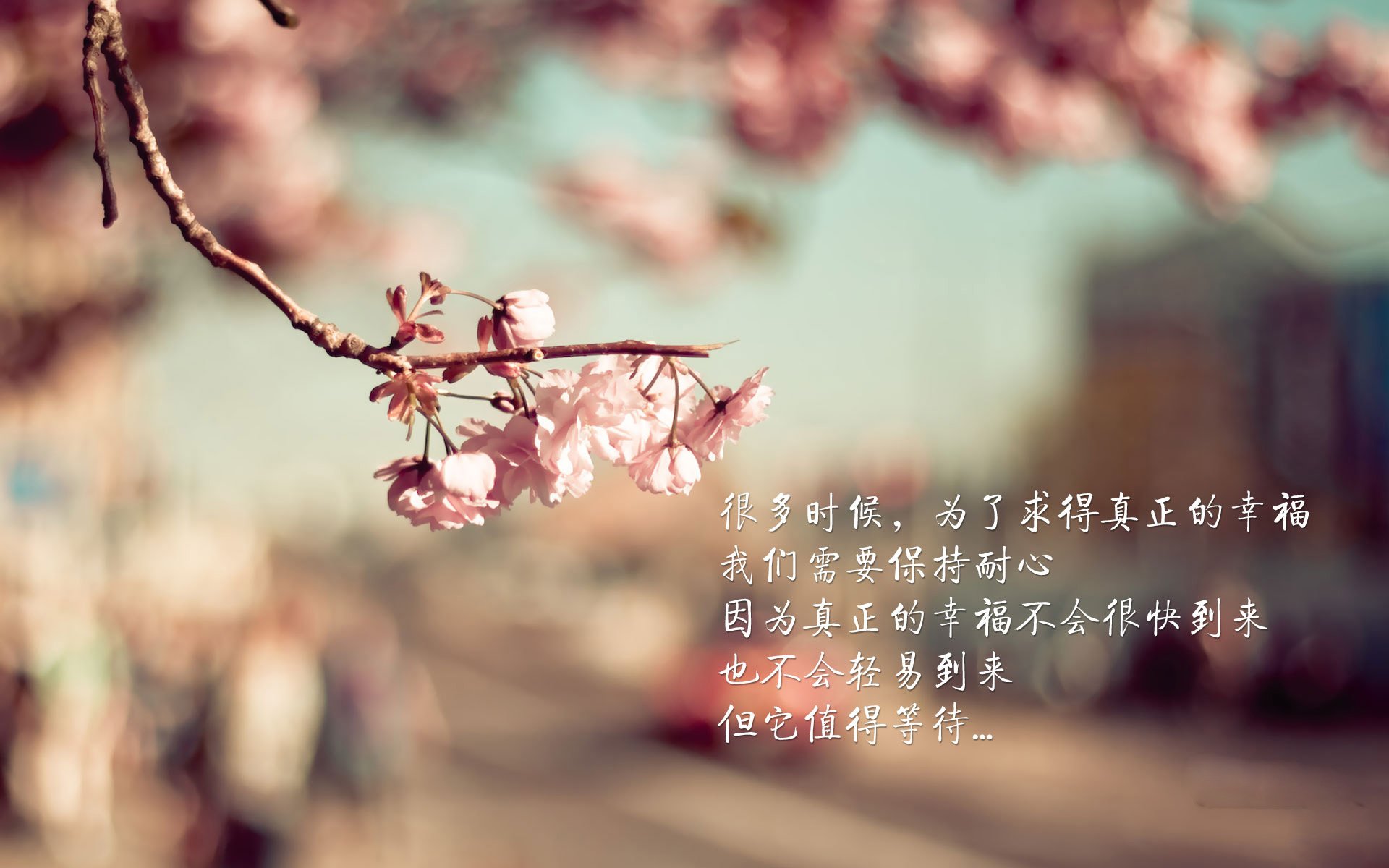 “三亿人上冰雪”政策持续推进,冰雪运动参与人数不断增加,带动三亿人参加冰雪运动目标