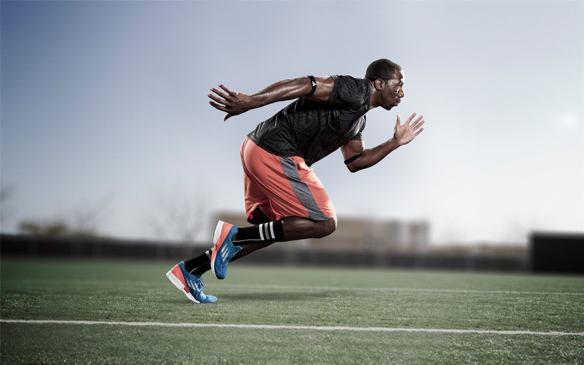 “从迷你到巨型”——各类车队装备与车型盘点,车队组成