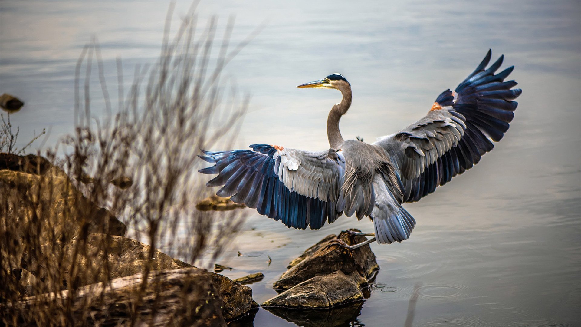 “德甲最后冲刺,争冠战火再度点燃”,德甲结局