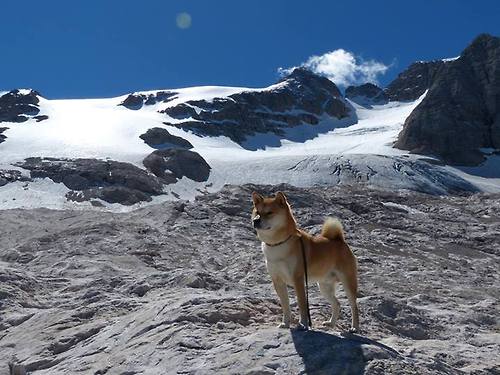 “青少年足球文化节热烈举行,推广体育精神”,青少年足球宣传文案