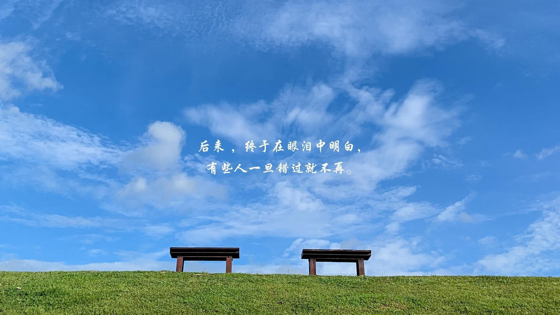 名人表演赛：娱乐与竞技的完美结合