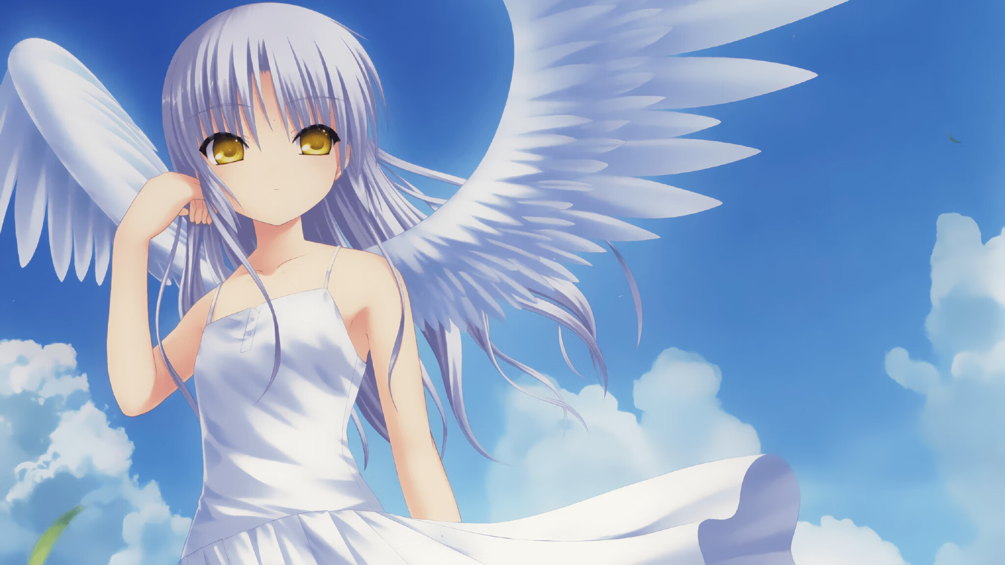 名人表演赛：娱乐与竞技的完美结合