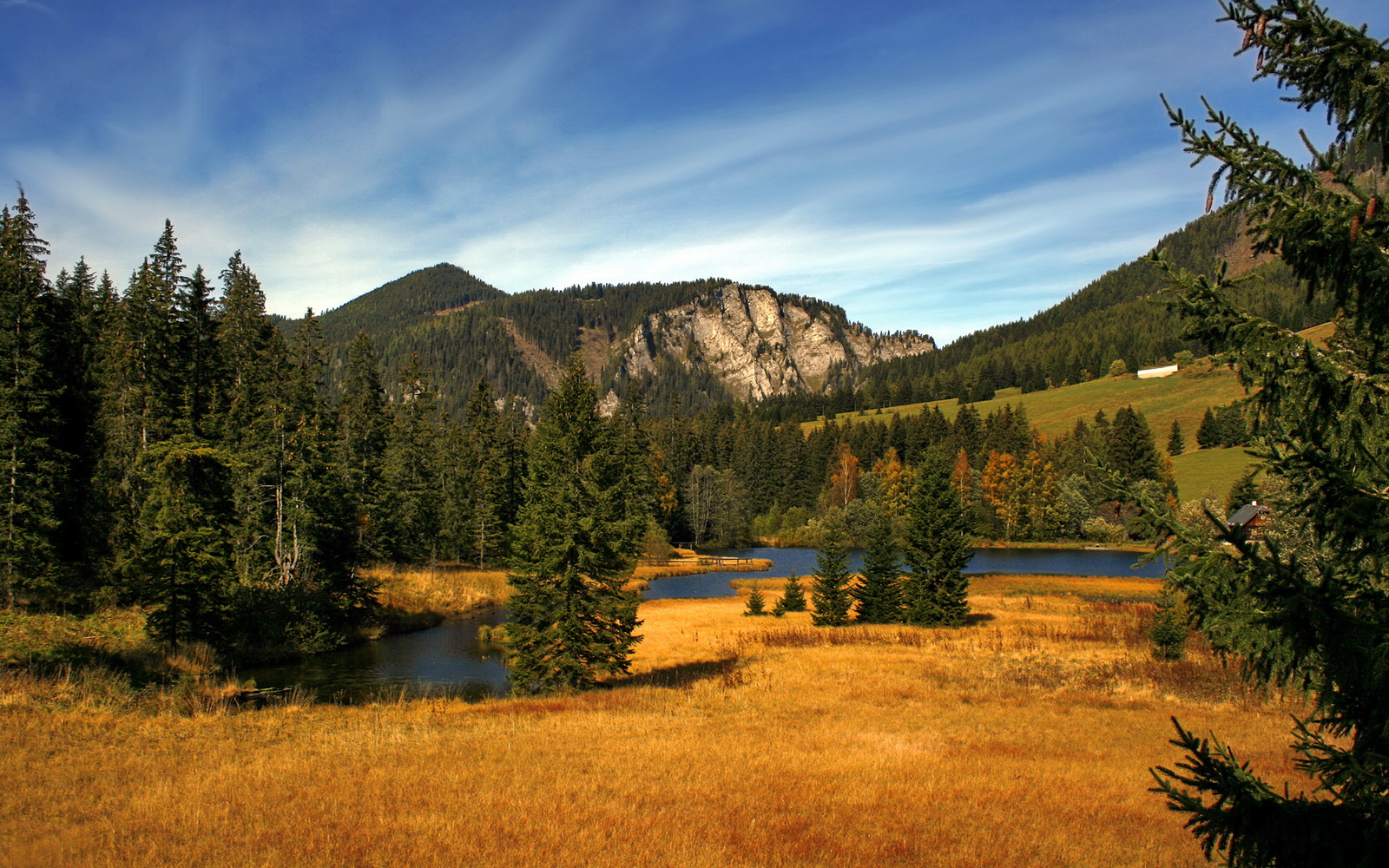 团队火力：北京队助攻竟高达23次，配合天衣无缝！，北京队球员介绍