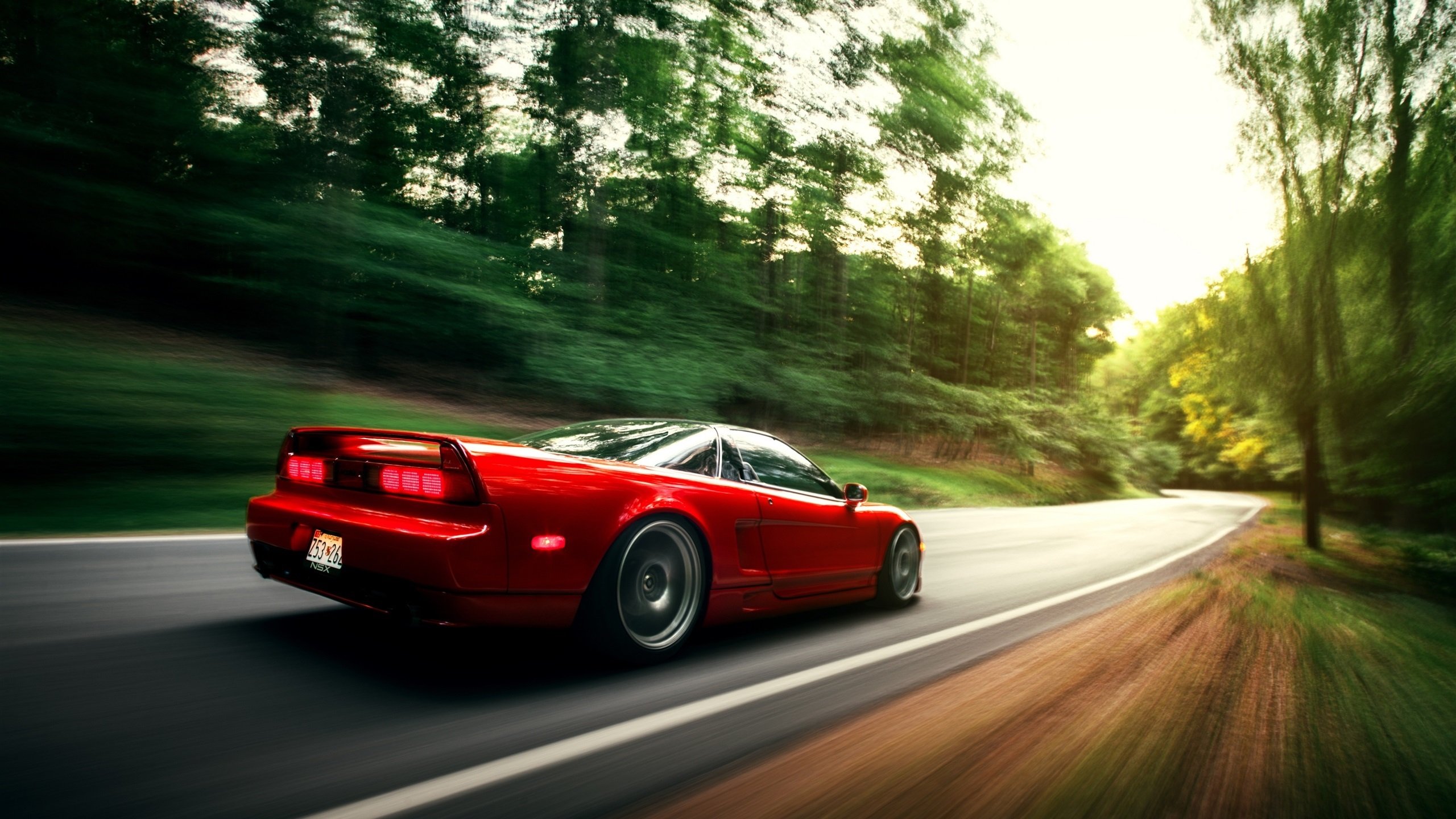 “荒漠王者:沙丘与泥泞中的生死对决”,荒漠 沙漠