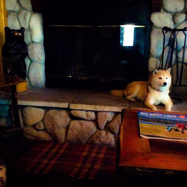 “青少年足球技能大赛激烈角逐,弘扬拼搏精神”,青少年足球实战智慧