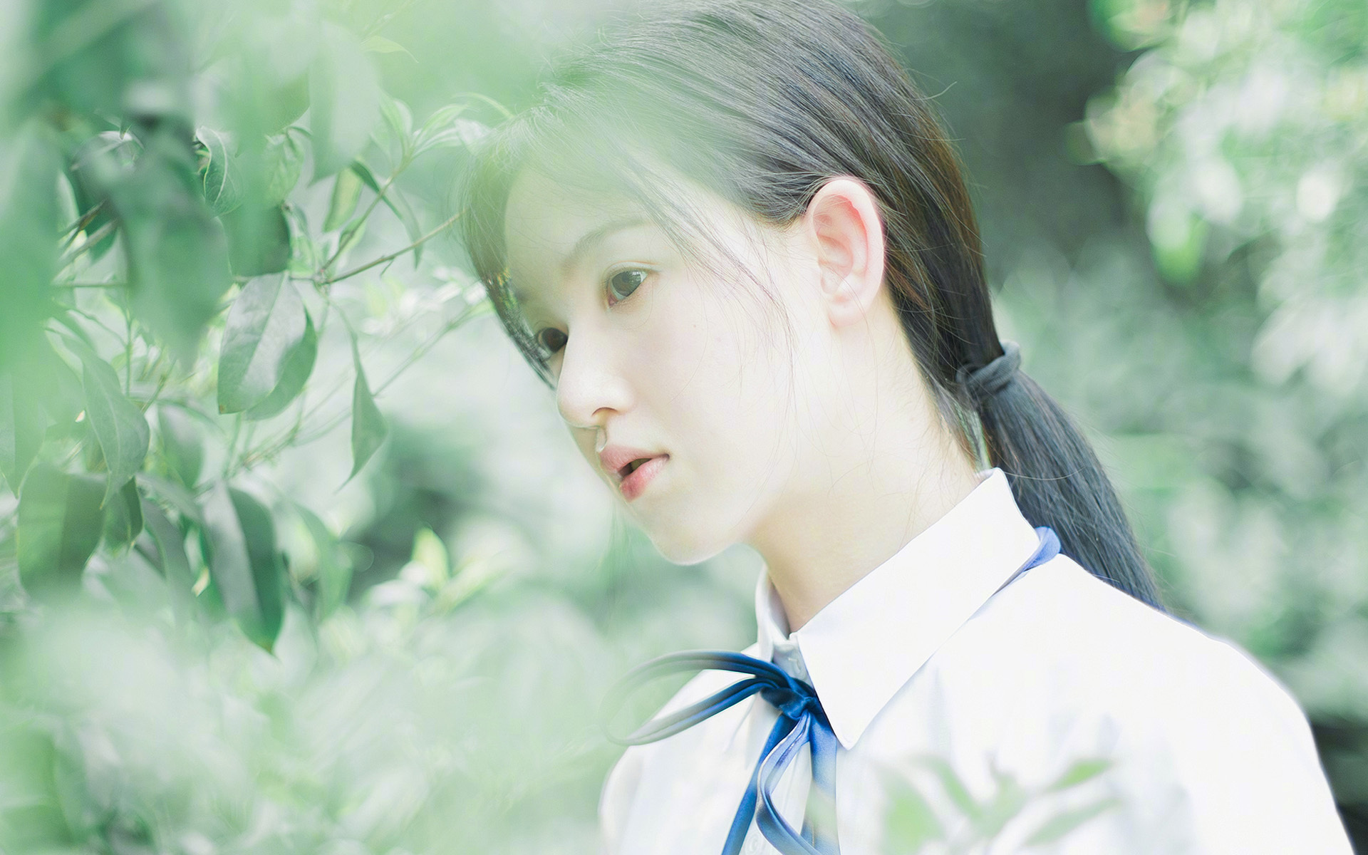 《CS_GO》赛事对硬件产业的促进：高端显卡与外设的需求，csgo比赛用的什么显示器