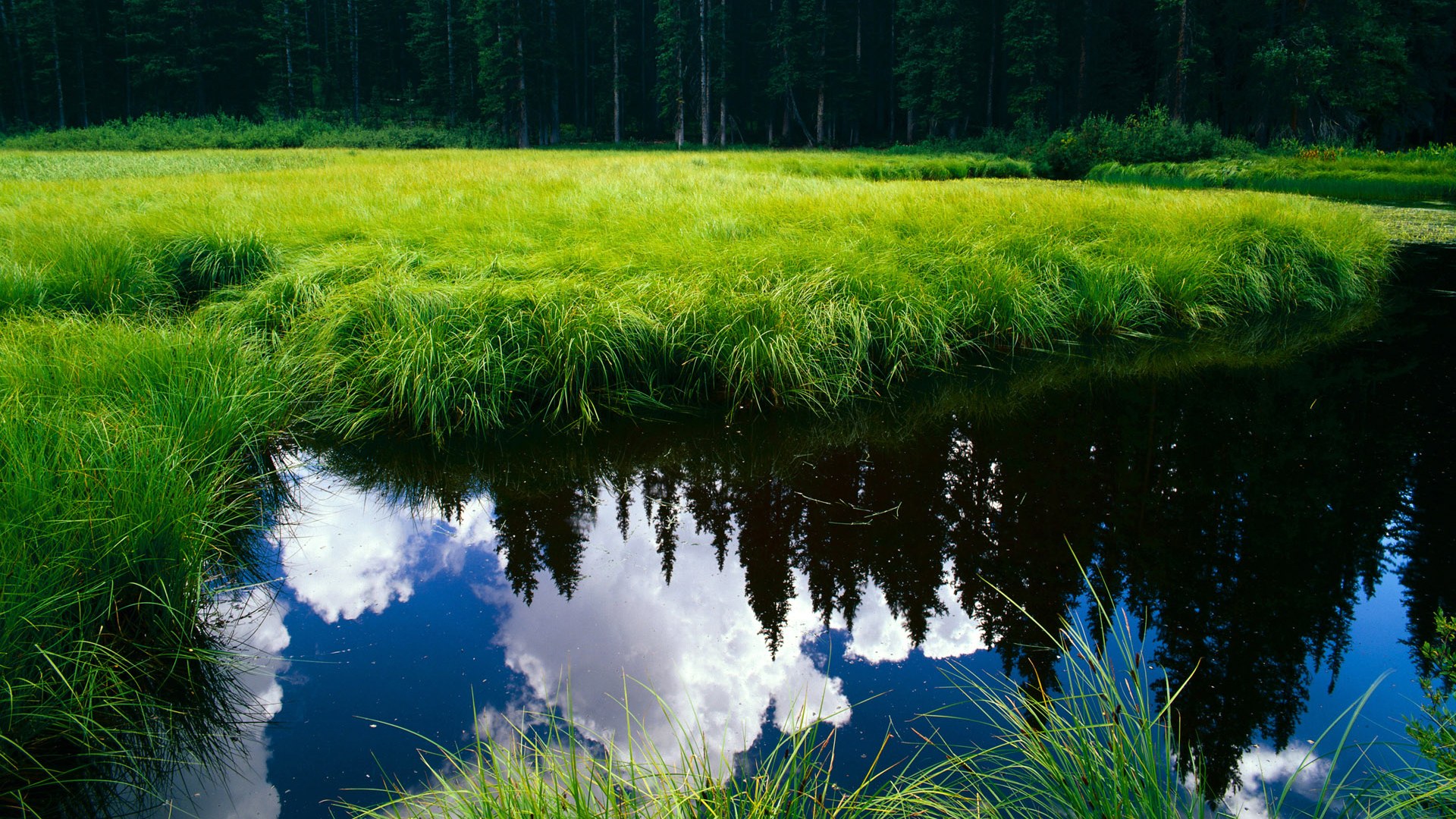 《PUBG Mobile》全球总决赛与《Free Fire》世界赛的移动电竞之争,pubg全球总决赛2021中国战队