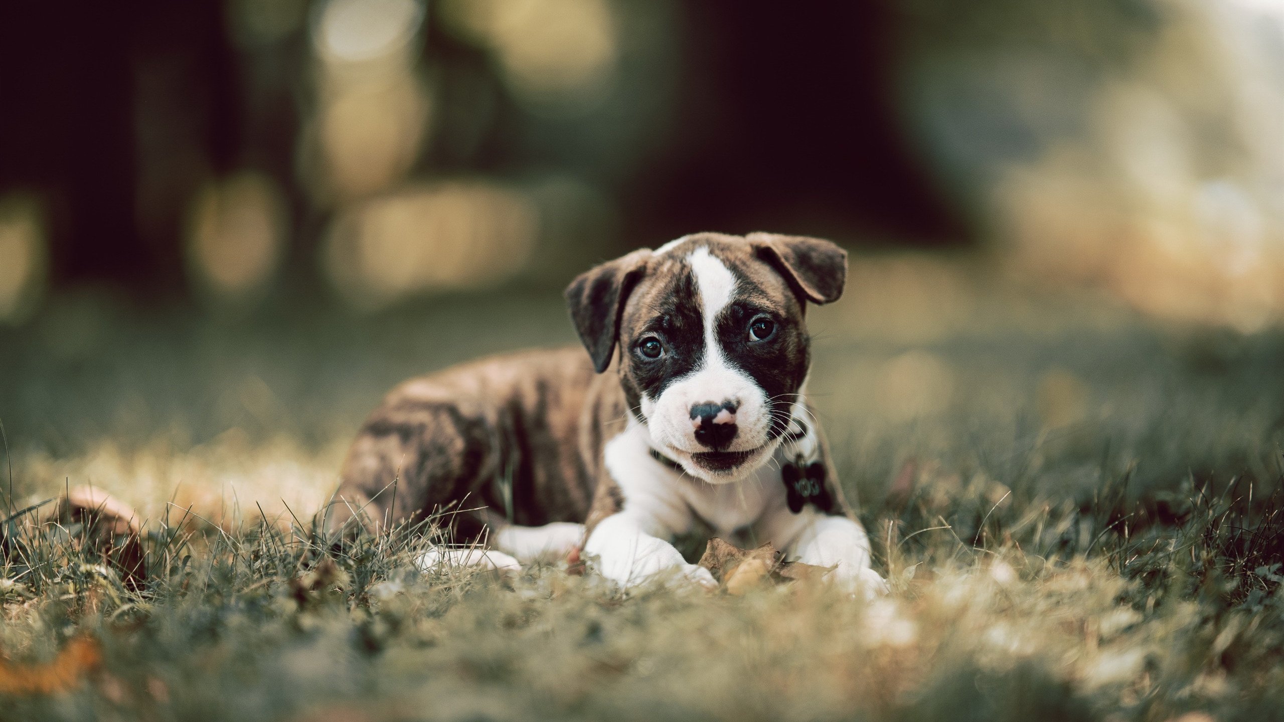 九游网页版官网入口-《【幕后故事】职业选手训练秘籍揭秘》，职业选手背后的艰辛