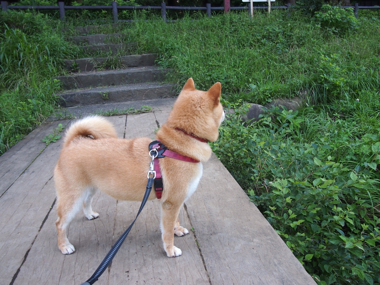 九游官网下载电脑版-《电竞直播技术升级：画面细节再现极致体验》，电竞直播盈利攻略