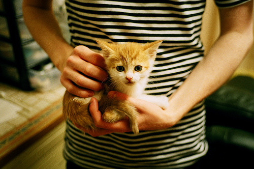 九游登录中心-《虚拟主播助阵：电竞比赛中的新宠儿》，虚拟主播bw