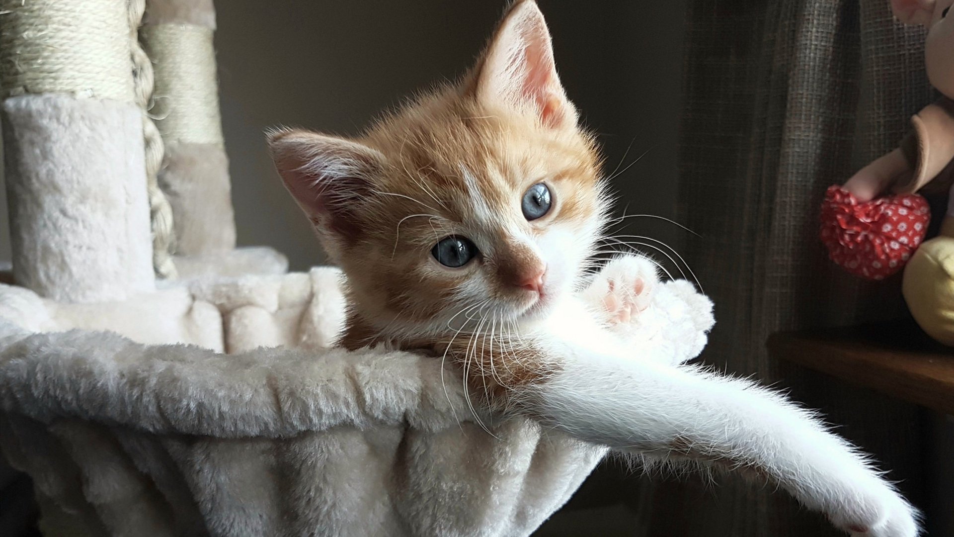 九游(jiuyou)官方网站-《高校电竞专业，成千上万青年学子的梦想殿堂》，电竞高校百度百科