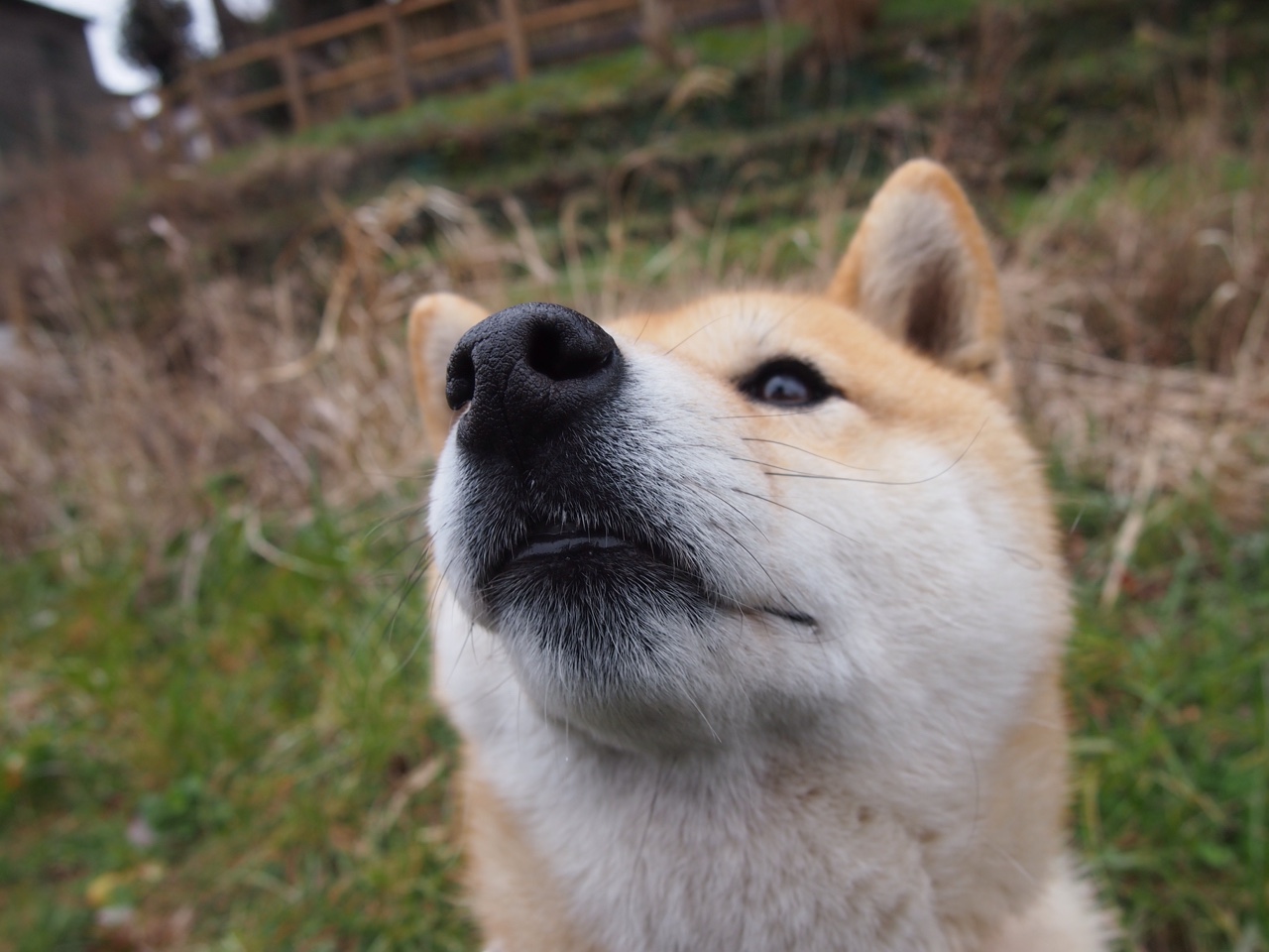 九游9游-【国际大赛盘点】哪些比赛最令人难忘？，国际大赛的前三年有哪些赞助商