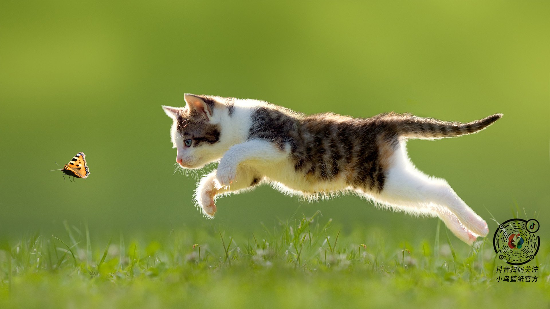 【比赛回顾】丁俊晖：关键时刻的攻防策略全揭秘，丁俊晖技术深度分析