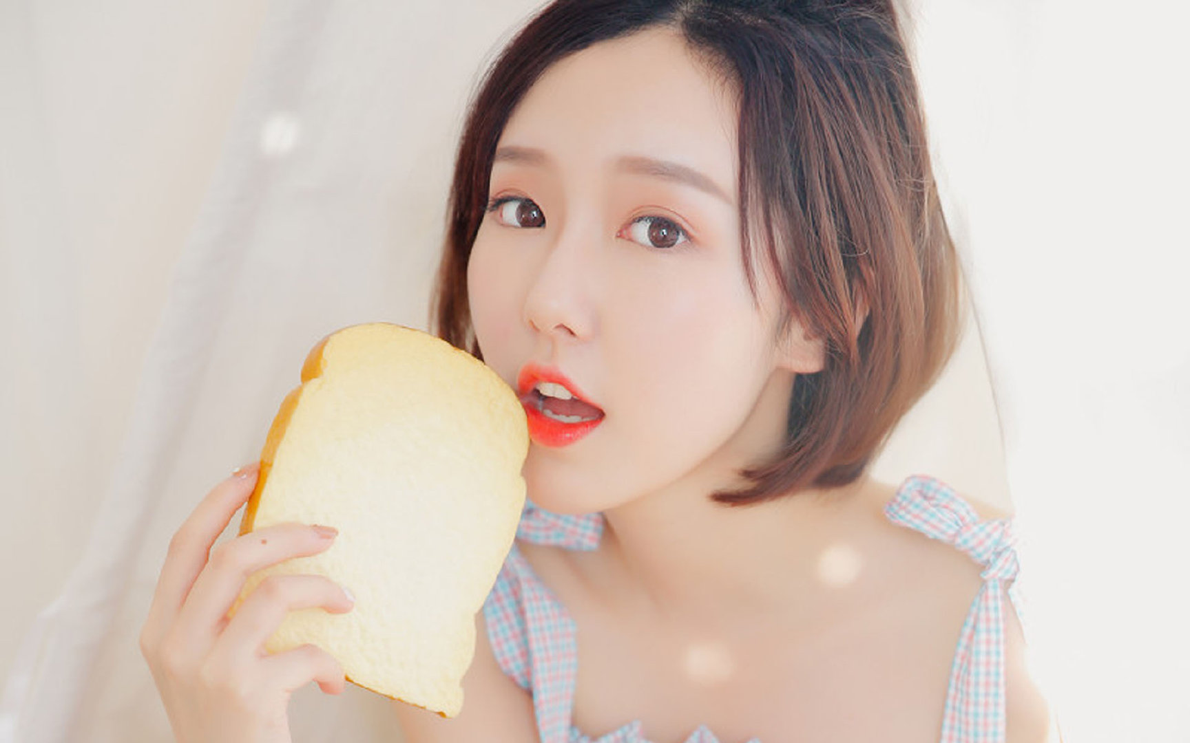 世界桥牌锦标赛，智者的巅峰对决，世界桥牌大赛