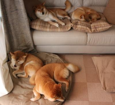 九游网页版官网入口-世界登山巡回赛，攀登者梦想的极限舞台，登山赛2