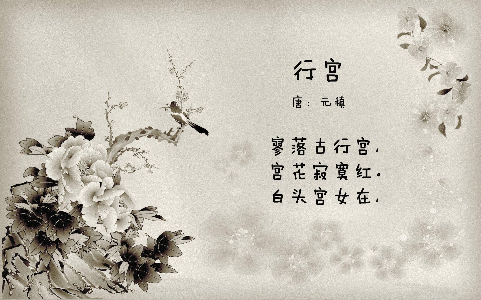 全国青少年“篮球成长路”线上故事征集全面展开，青少年关于篮球的书籍推荐