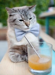 全国青少年“篮球教育联盟”正式成立，推动青训行业规范化，全国青少年篮球训练营