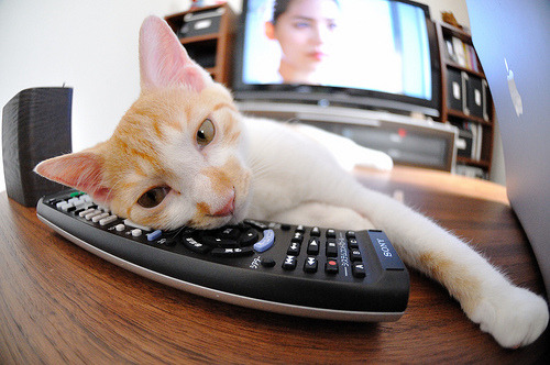 全明星赛直播抢先看，明星球员首次联袂亮相，全明星赛直播视频