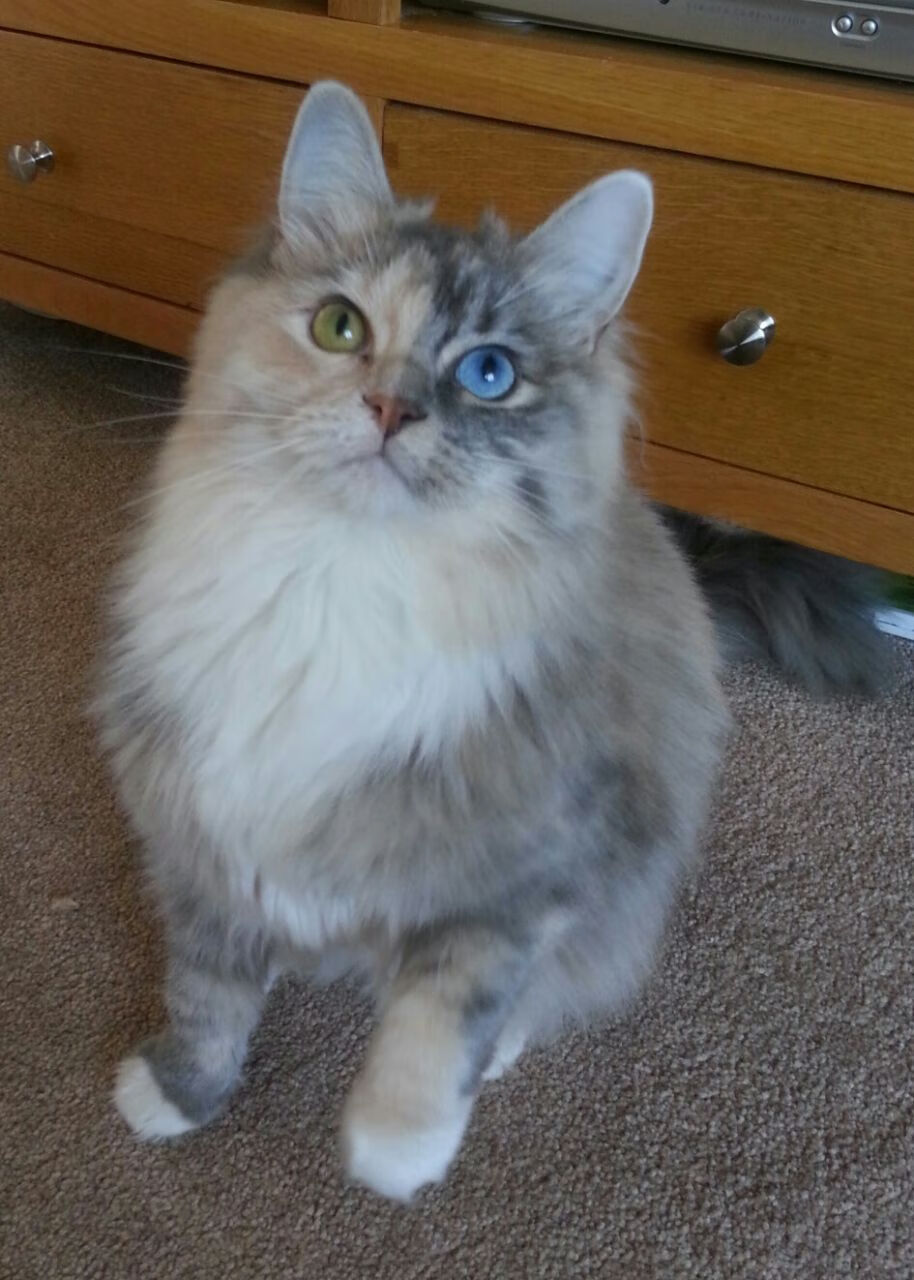 区块链在交易中的创新应用，让联盟交易更透明可信，区块链交易系统